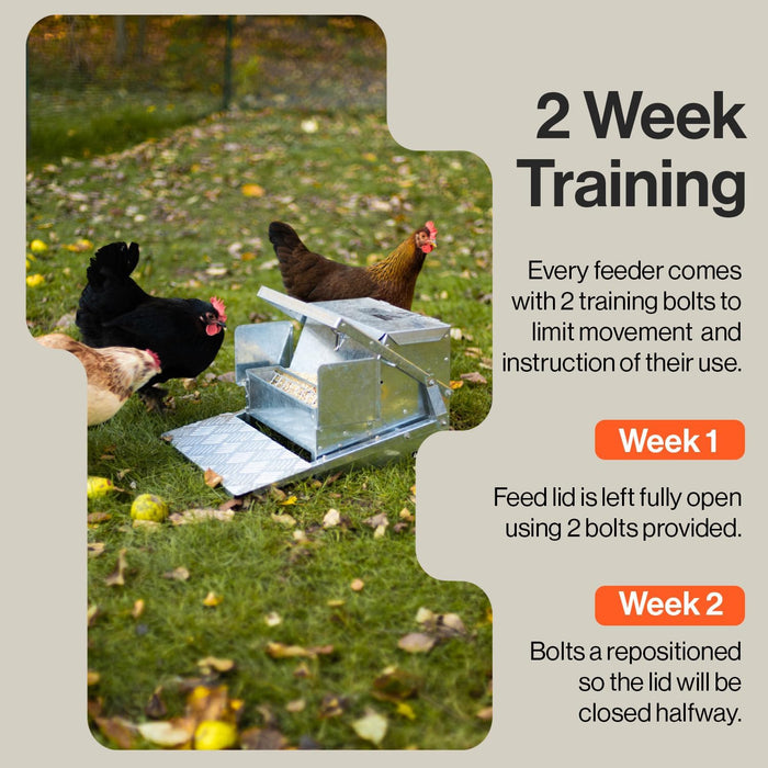 SuperHandy Chicken Feeder – 9kg (20 lb) Capacity, Galvanized Steel, Spill-Proof Trough with Bird Guard, Outdoor Poultry Feeder