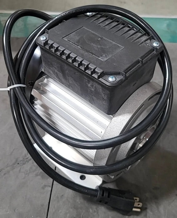 GCAO024(GUO084-#21 Electromotor)